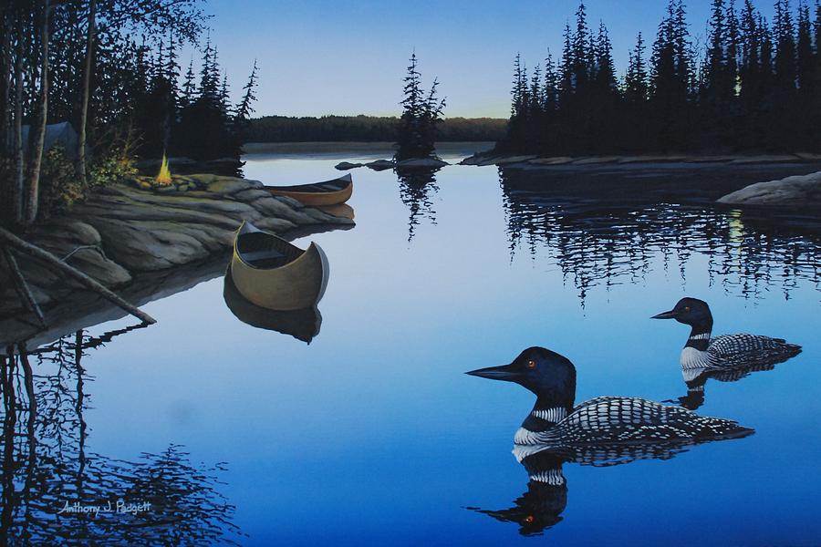Evening Loons Painting by Anthony J Padgett