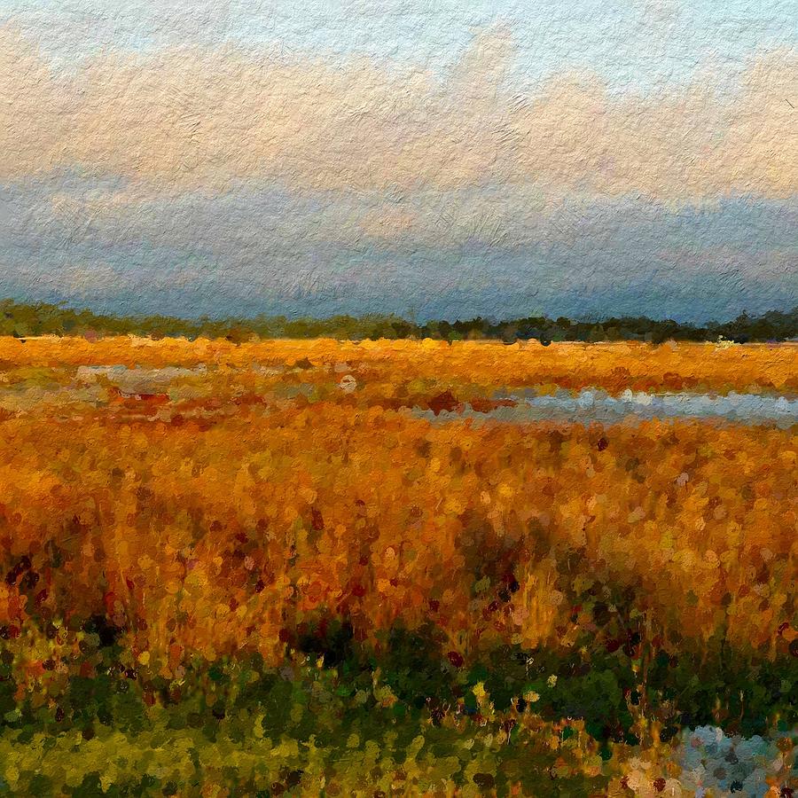 Evening marsh glow Digital Art by Anthony Fishburne