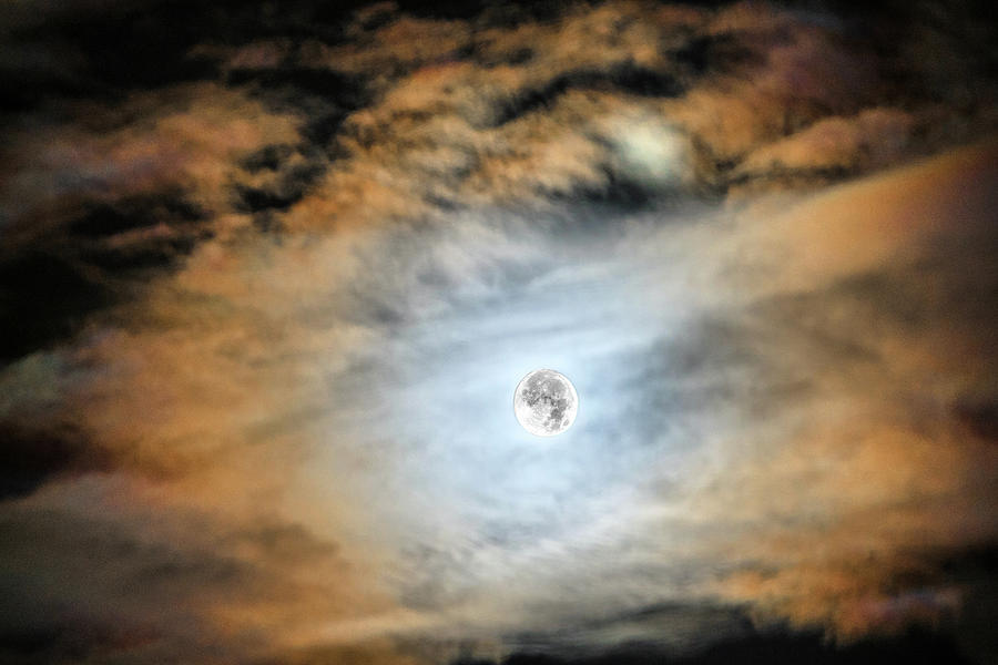 Evening Moon Photograph