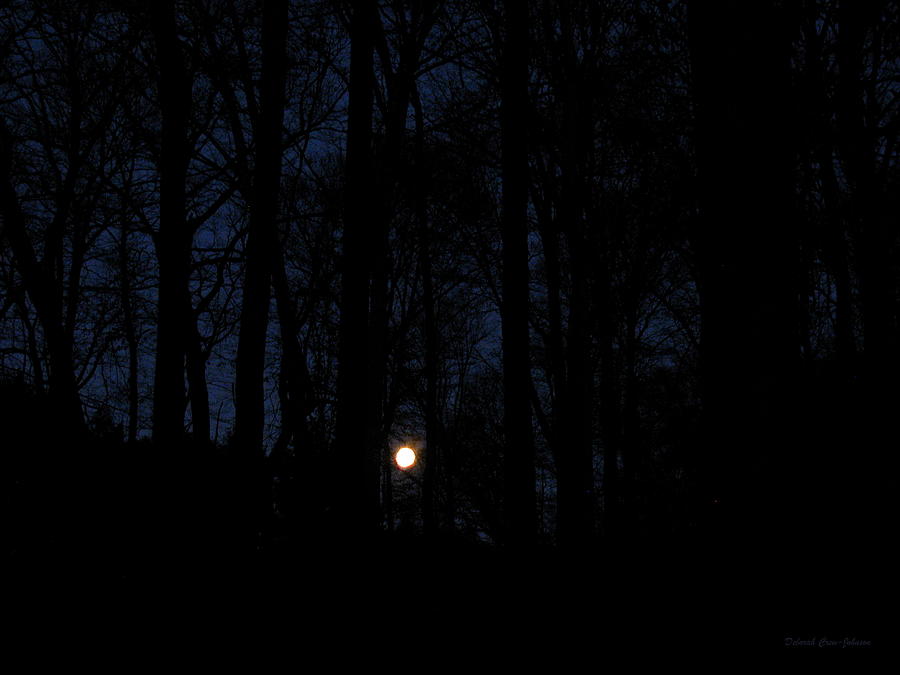 Evening Moon Photograph by Deborah  Crew-Johnson
