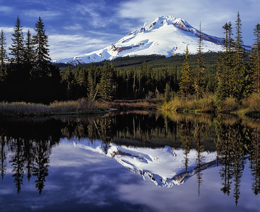 Evening Mt Hood reflection Photograph by Larry Geddis - Pixels