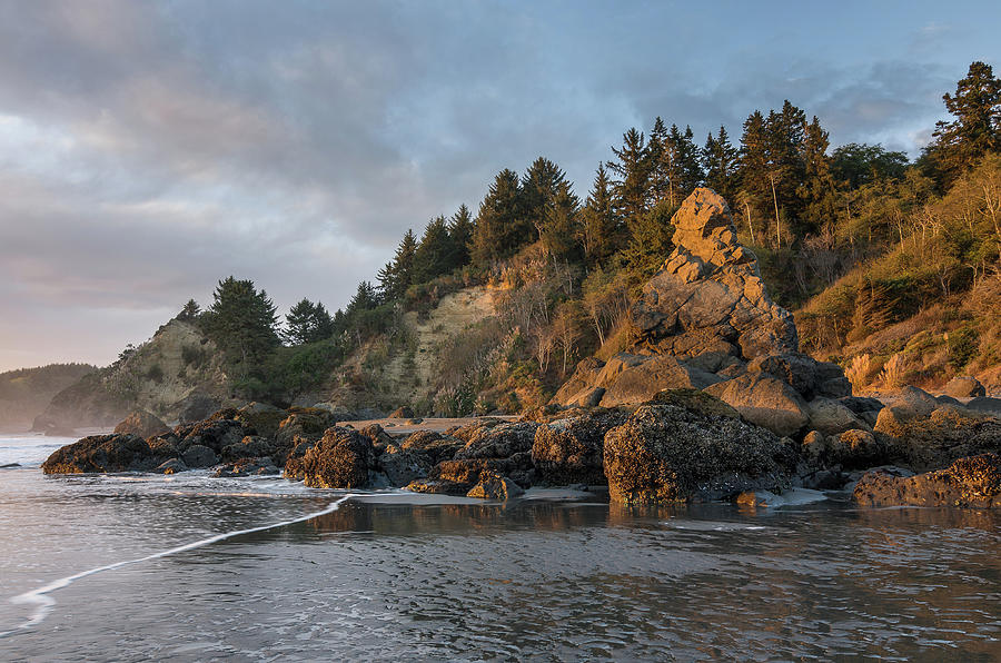Evening on the Beach Photograph by Greg Nyquist