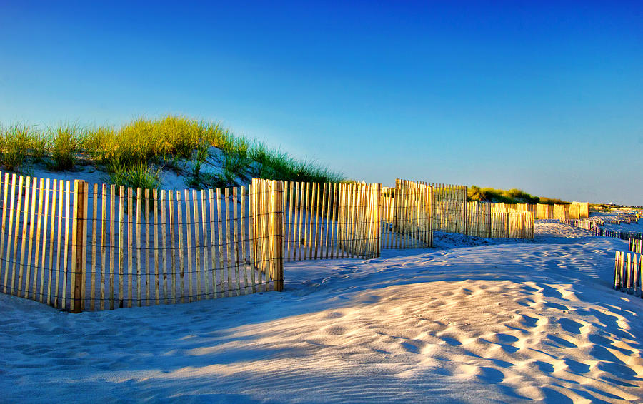 Evening on the Dunes Photograph by Carolyn Derstine