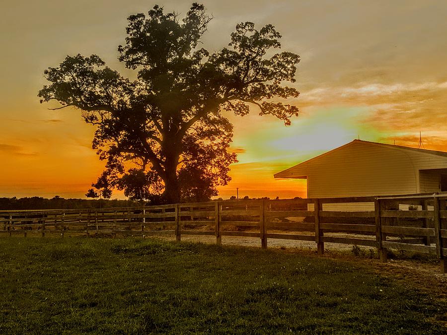 Evening on the Farm  Photograph by Paul Kercher
