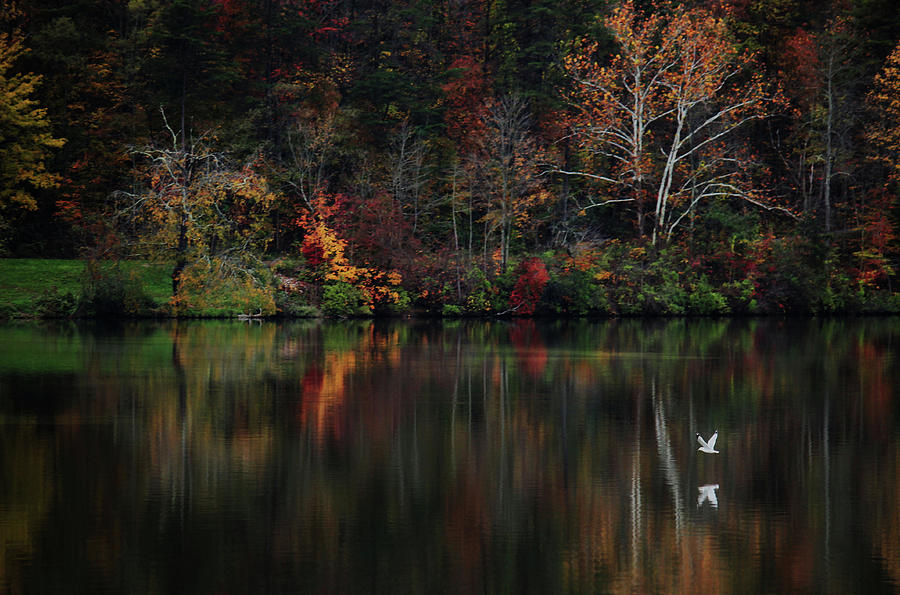 Fall Photograph - Evening on the Lake by Rowana Ray