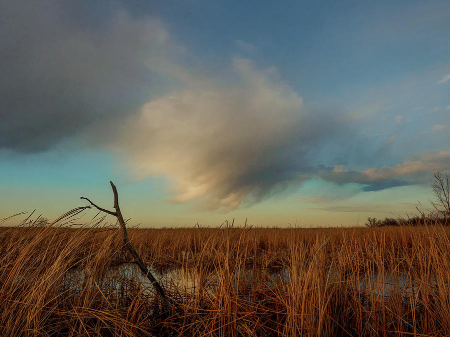 Evening on the Marsh Photograph by Kristine Hinrichs