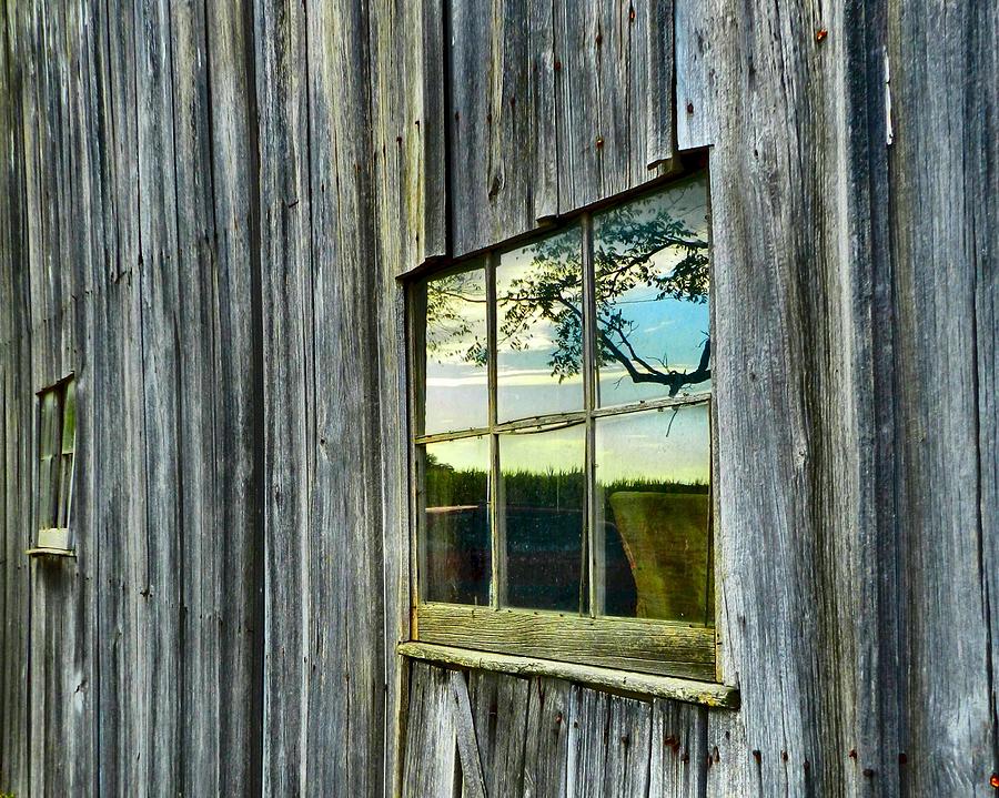 Barn Photograph - Evening Out at the Barn by Julie Dant