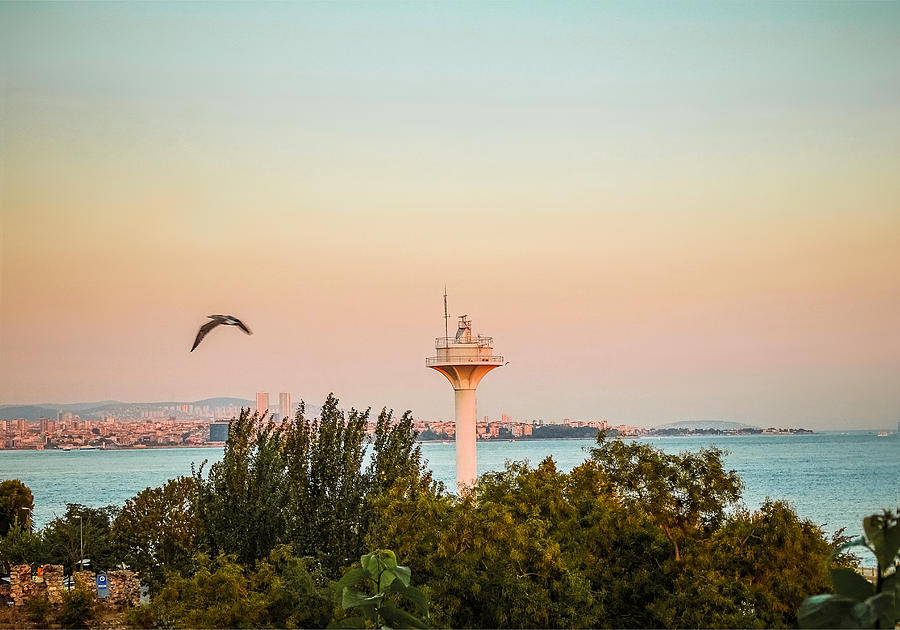 Evening over Bosphorus Photograph by Lilia S