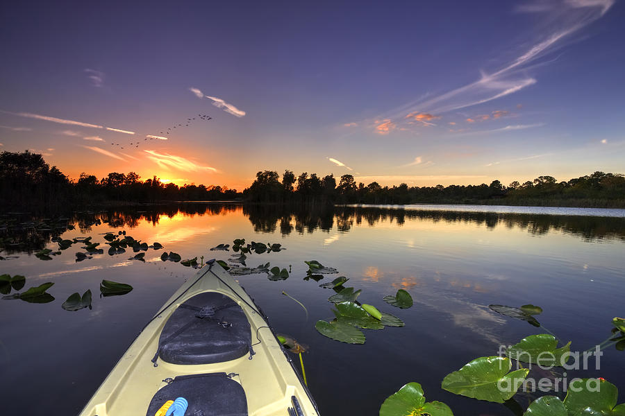 Sunset Photograph - Evening paddle  by Rick Mann