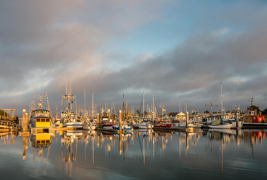 Evening Reflections on Woodley Island Marina Photograph by Greg Nyquist