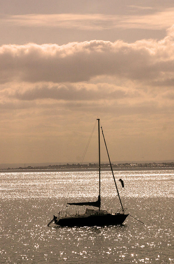 Evening sail Photograph by Jez C Self