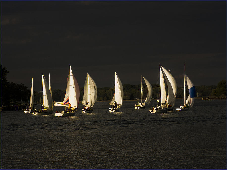 Evening Sail Photograph by Suanne Forster