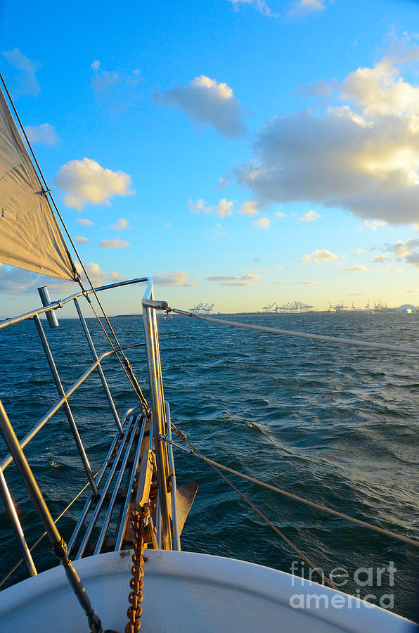 Evening Sail Photograph by Timothy OLeary