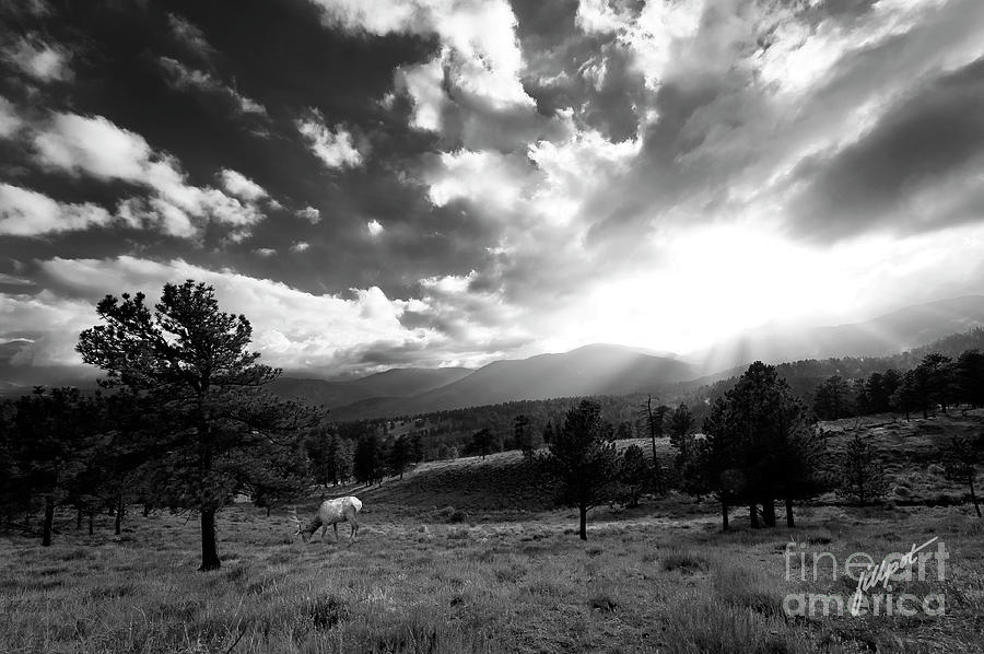 Rocky Mountain National Park Photograph - Evening Shadows by Bon and Jim Fillpot