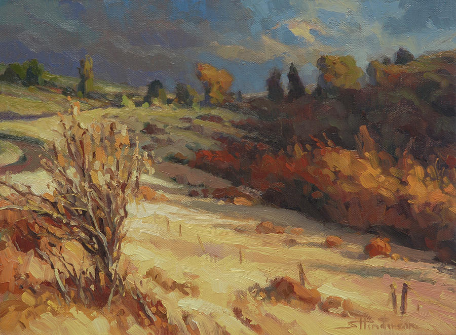 Nature Painting - Evening Shadows by Steve Henderson