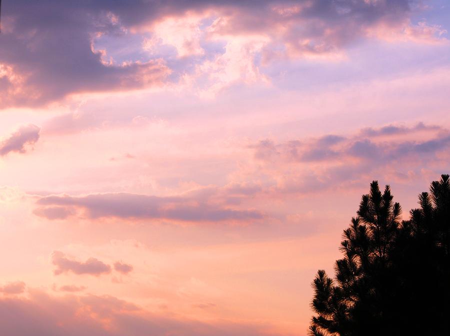 Nature Photograph - Evening Sky by Lisa Johnston