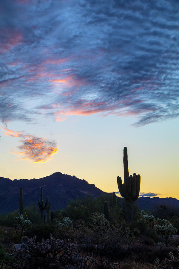 Evening Sky Digital Art by Patricia Stalter - Fine Art America