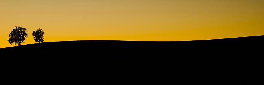 Evening Solitude Photograph by Don Schwartz