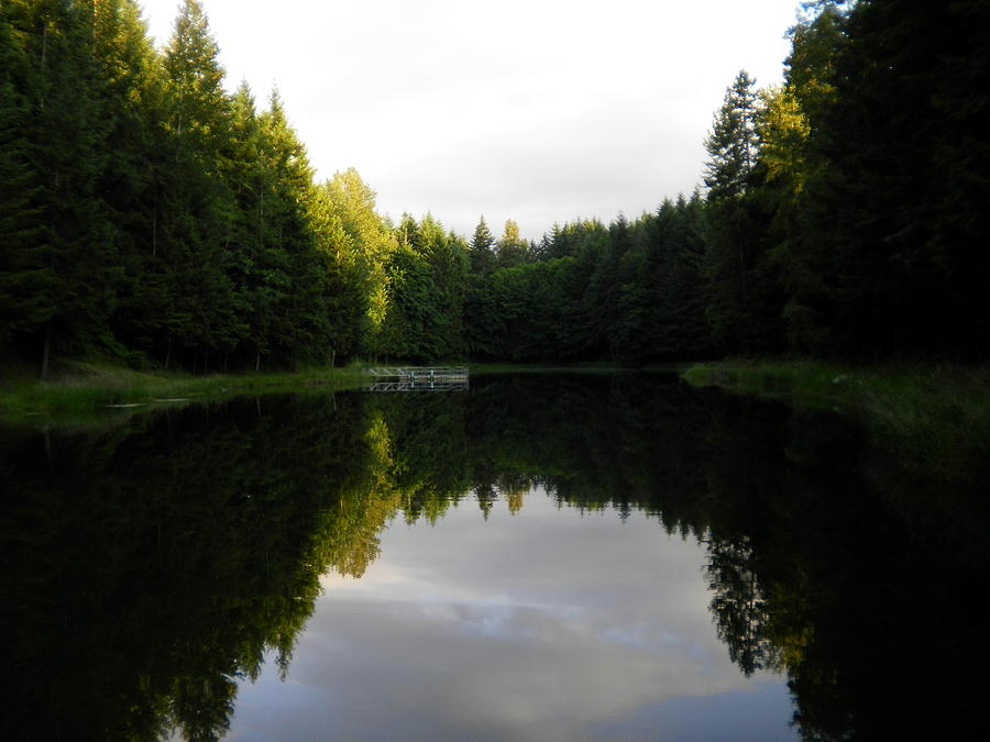 Evening Stillness Photograph by Donna Meadows - Fine Art America