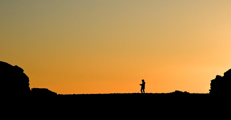 Evening Stroll Photograph by Gareth Davies | Fine Art America