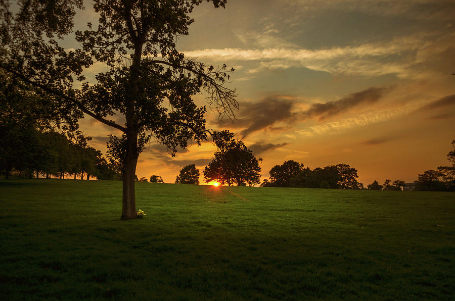 Evening Sun over Brockwell Park Photograph by Lenny Carter