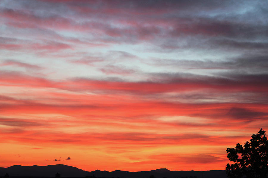 Evening Sunset From The Back Patio Photograph by Robert W Dunlap - Fine ...