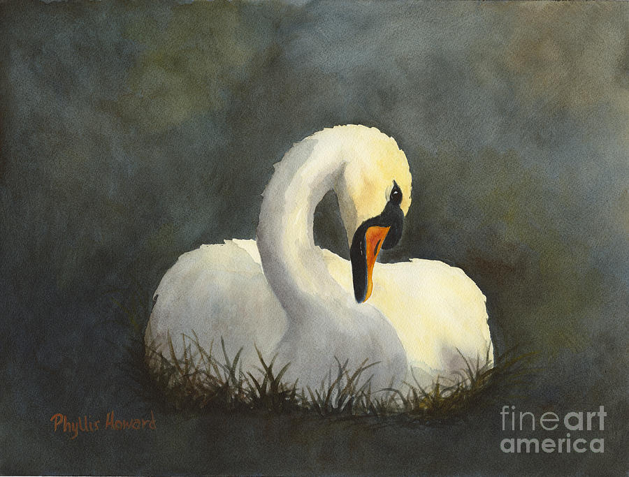 Evening Swan Painting by Phyllis Howard