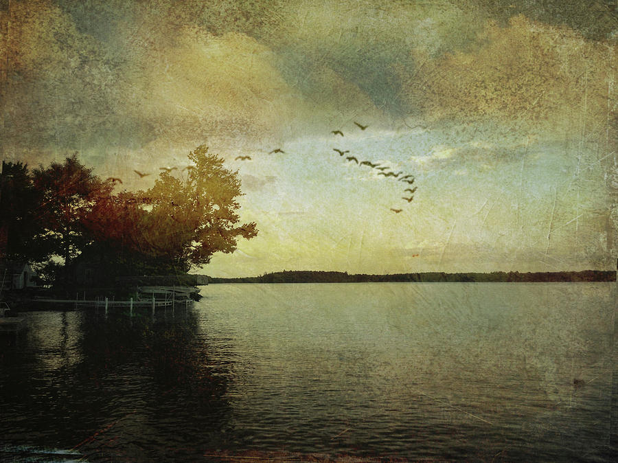 Evening, the Lake Digital Art by Ann Tracy