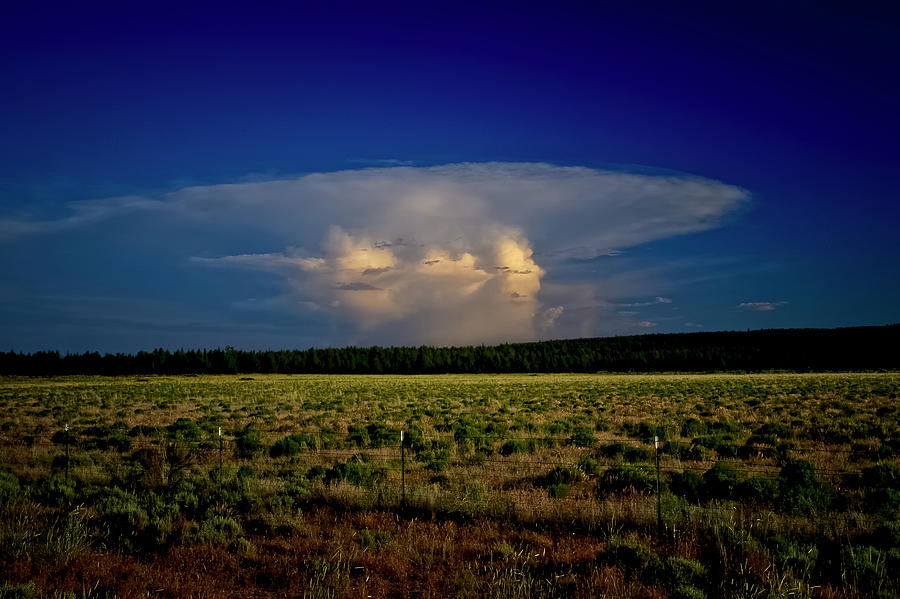 Evening Thunderstorm Photograph by Albert Seger