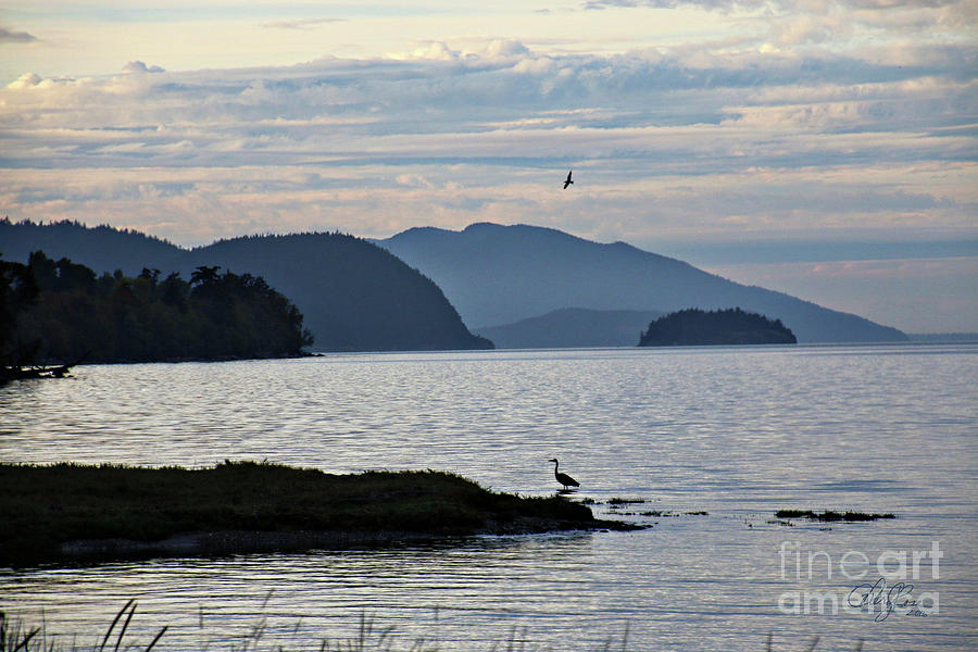 Evening in Anacortes Photograph by Cheryl Rose