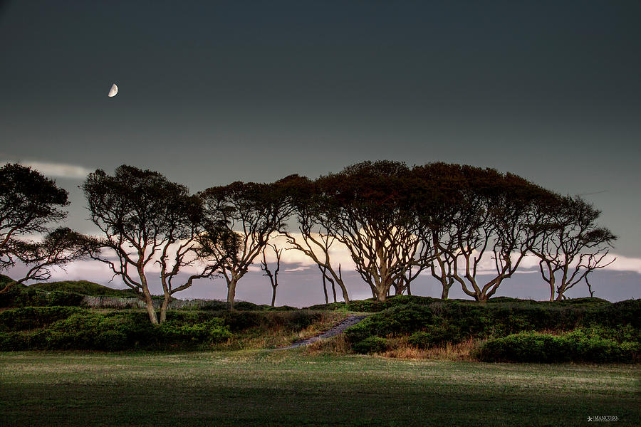 Dusk at Fort Fisher Photograph by Phil Mancuso