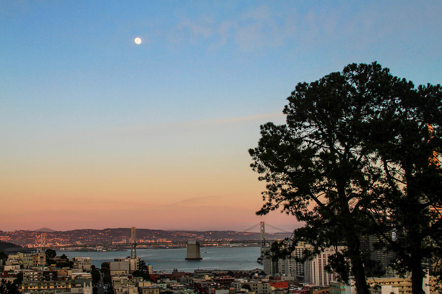 Evening View from Russian Hill Photograph by Bonnie Follett
