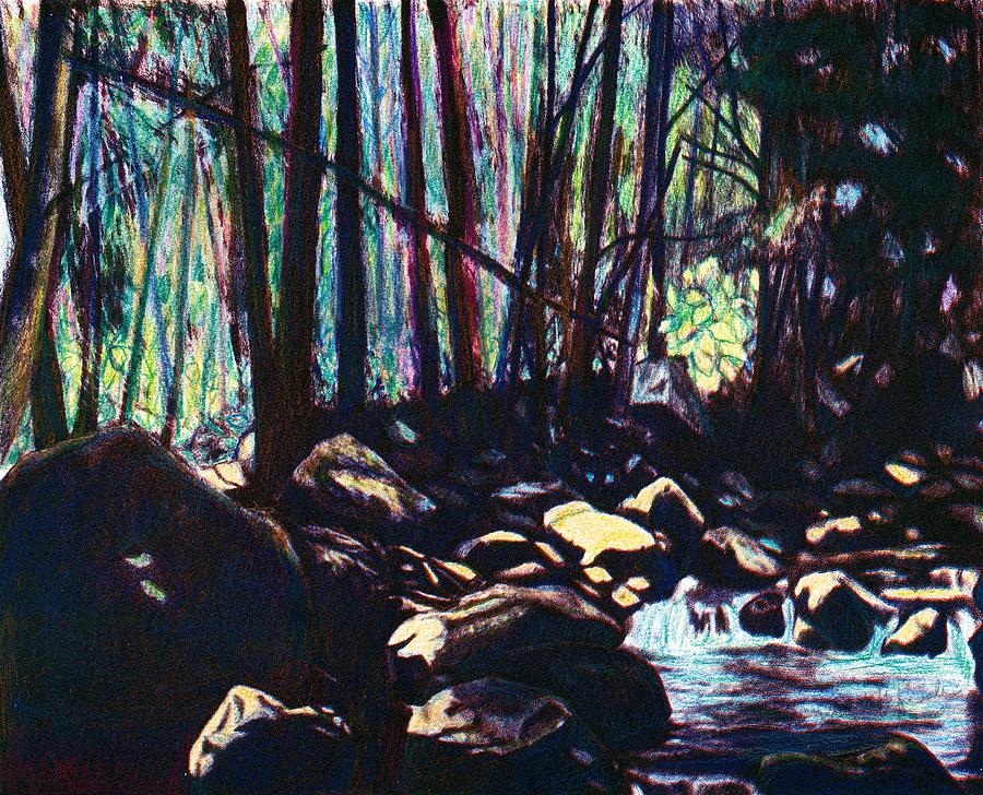 Evening View of Little Stony Creek Drawing by Kendall Kessler