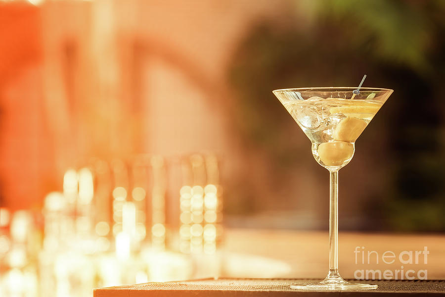 Martini Photograph - Evening with martini by Ekaterina Molchanova