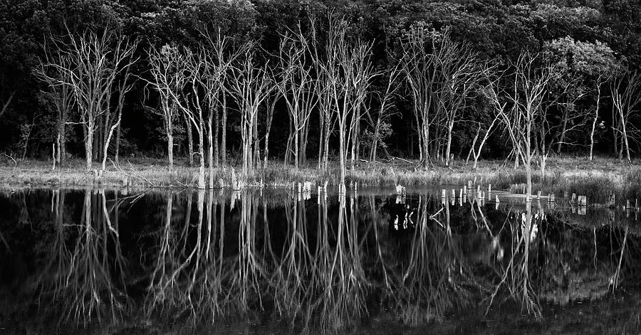 Evenings Mirror in Black and White Photograph by David Lunde