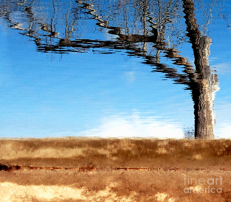 Event Horizon - Reflection Of Reality Photograph by Steven Milner