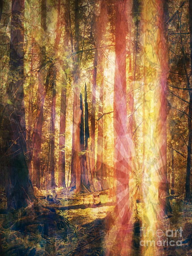 Enchanted Woods Digital Art - Ever Ever Land by Kim Prowse