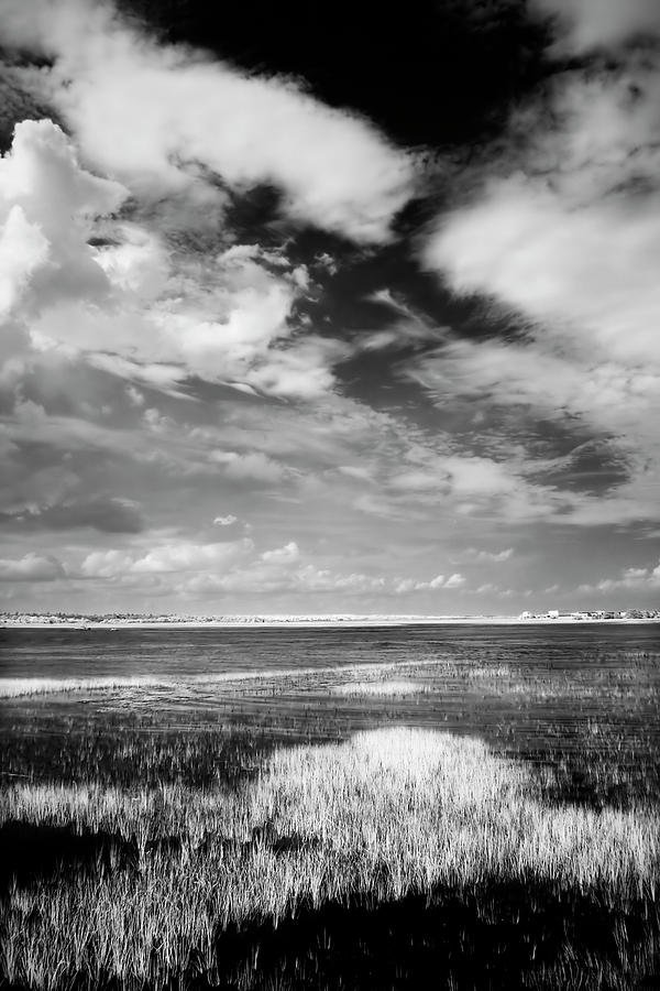 Everette Bay -4 Photograph by Alan Hausenflock