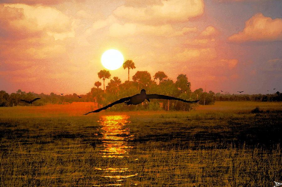 Everglades Dawn Painting by David Lee Thompson