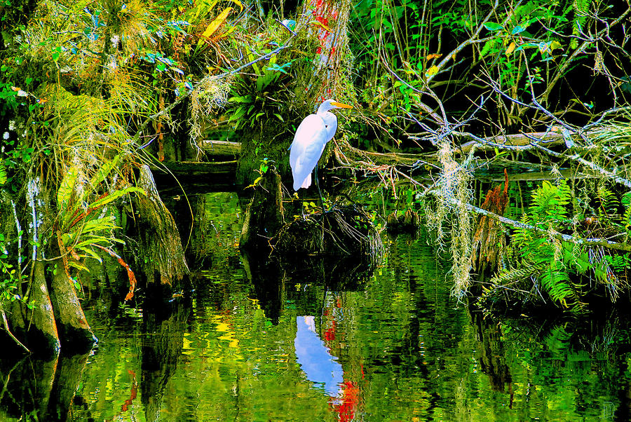 Everglades Egret Painting by David Lee Thompson