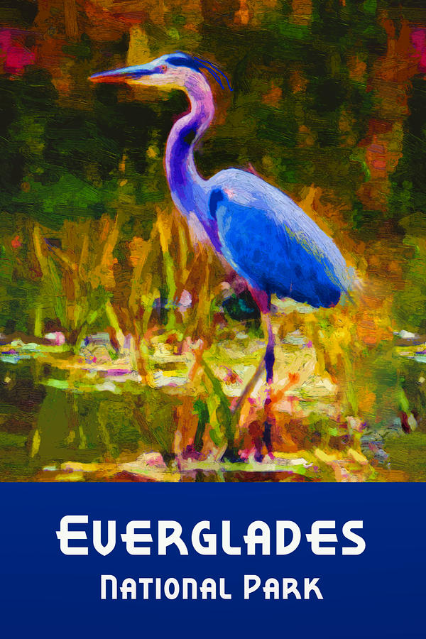 Bird Digital Art - Everglades National Park by Chuck Mountain