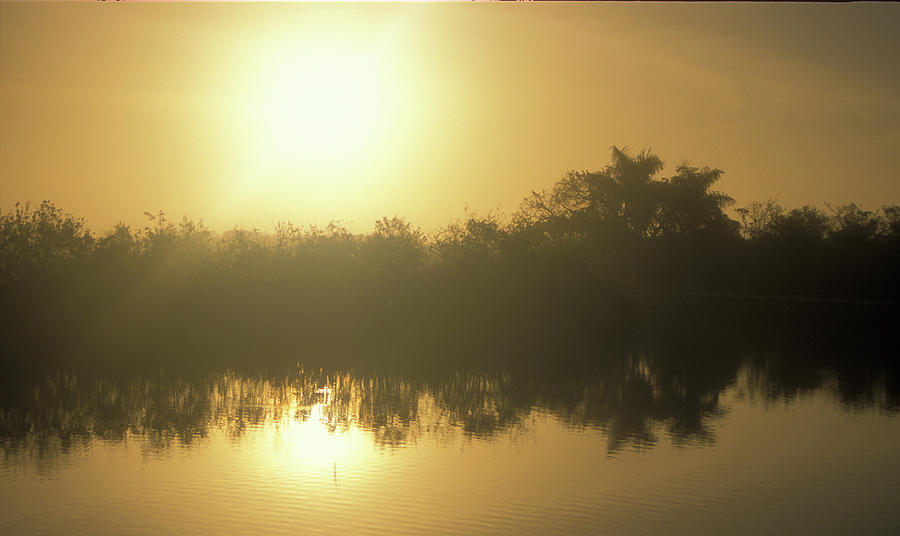 Everglades Slough Sunrise Photograph by John Burk