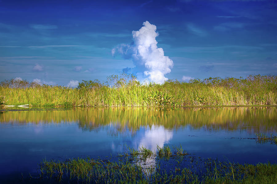 Everglades Smoke Photograph by Mark Andrew Thomas