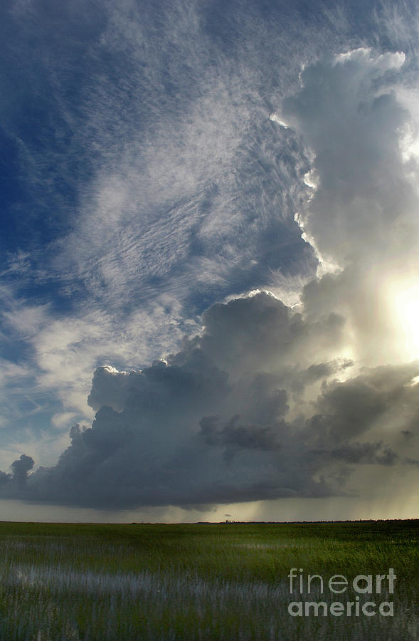 Everglades Storm  Photograph by Skip Willits