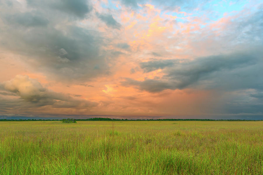 Everglades Sunset Photograph by Brian Knott Photography