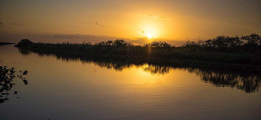 Everglades Sunset Photograph by Dart Humeston