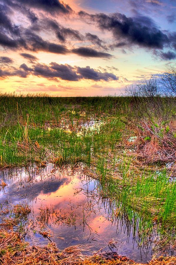 Everglades Twilight Photograph by William Wetmore