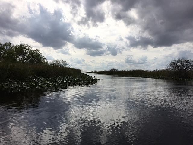 Everglades Photograph by Val Oconnor