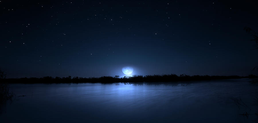Everglades Winter Moon Photograph by Mark Andrew Thomas
