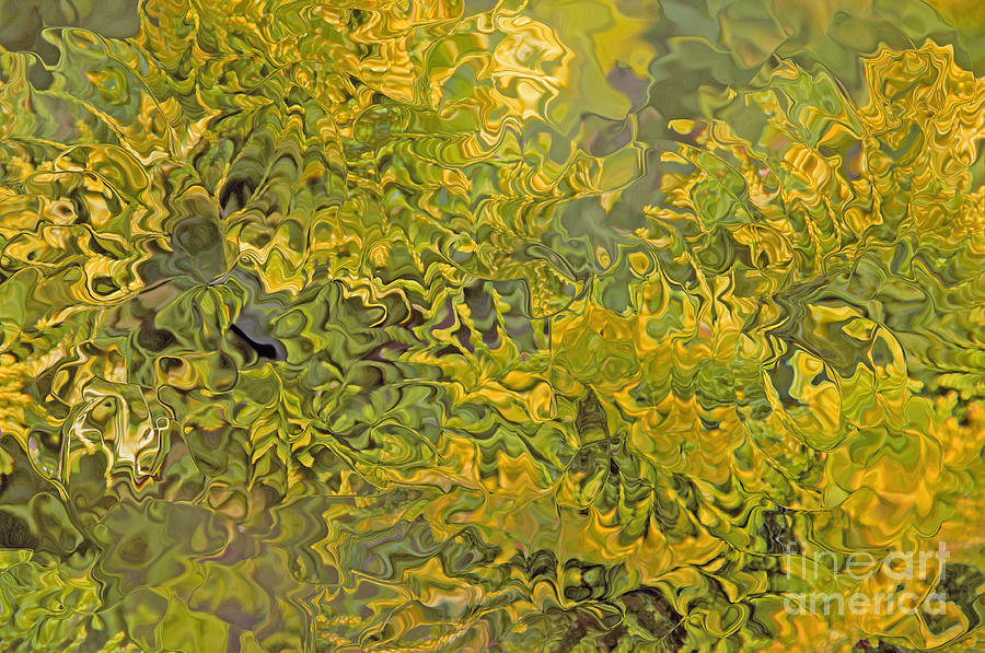 Evergreen Abstract by Cindy Lee Longhini Evergreen Abstract by Cindy Lee Longhini